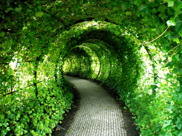 Зеленые галереи борсо или зеленые тоннели